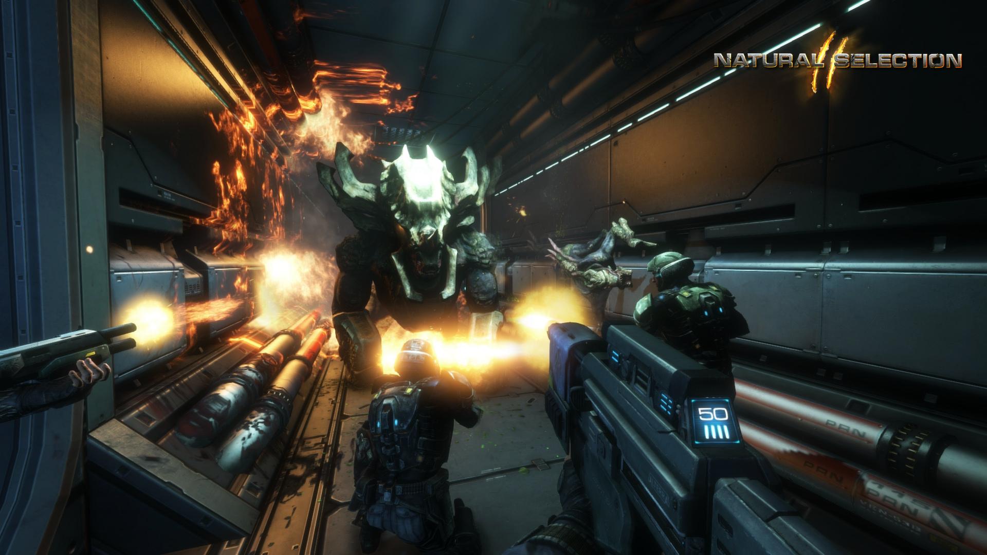 物竞天择2/Natural Selection 2_0