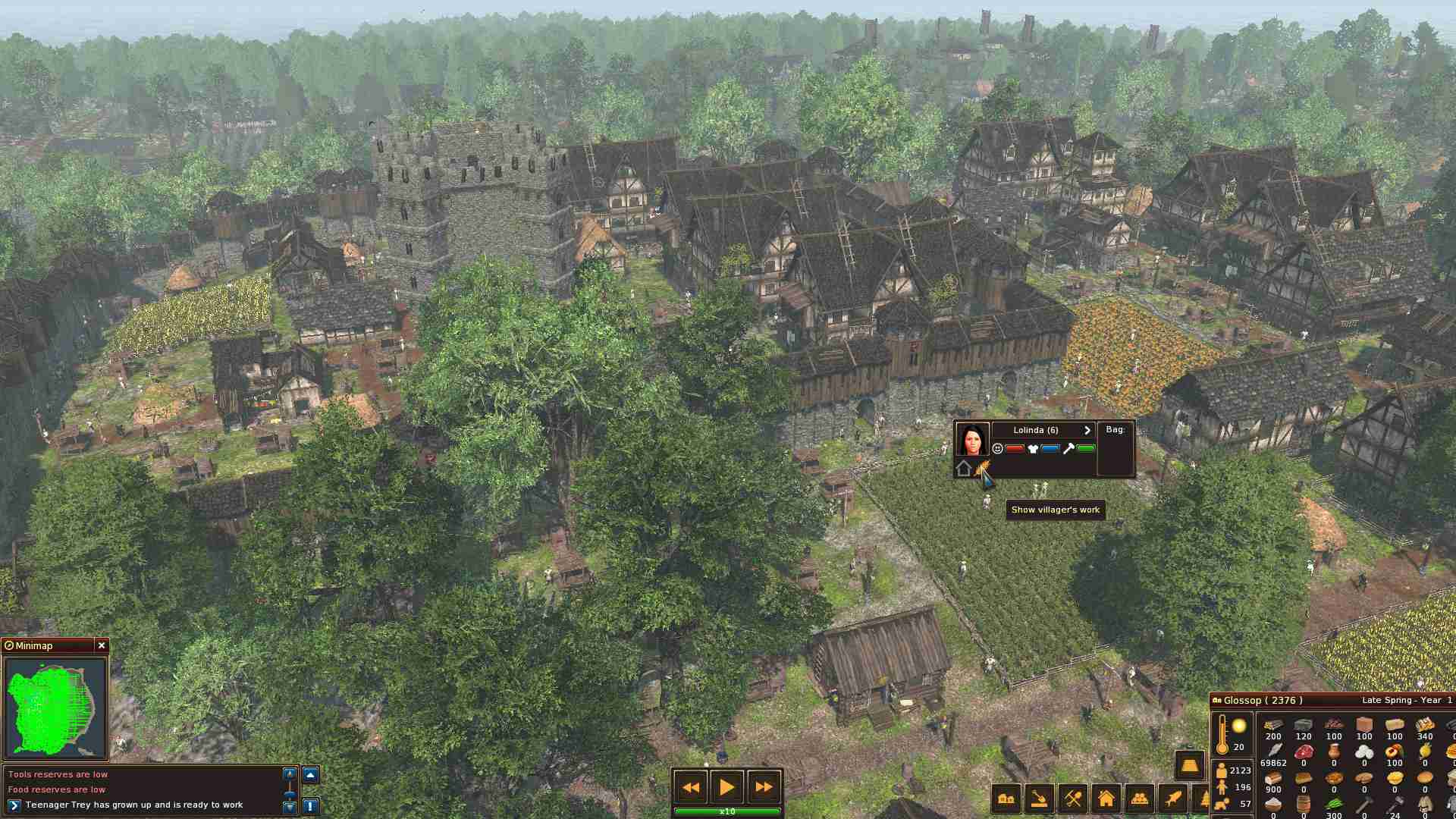 领地人生：林中村落/封建时代：林中村落/Life is Feudal: Forest Village_1