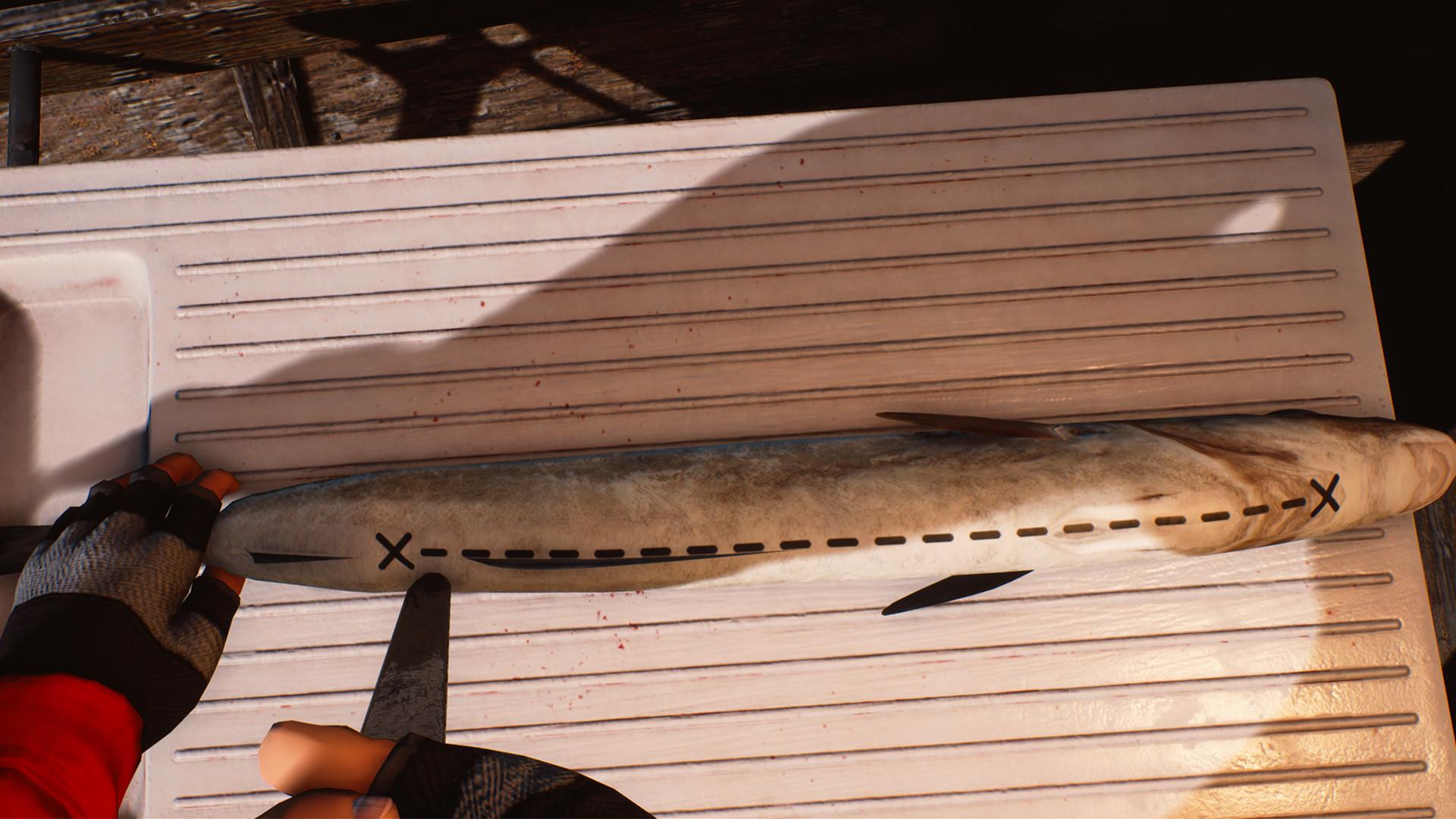 钓鱼：巴伦支海/捕鱼：巴伦支海/Fishing: Barents Sea_3