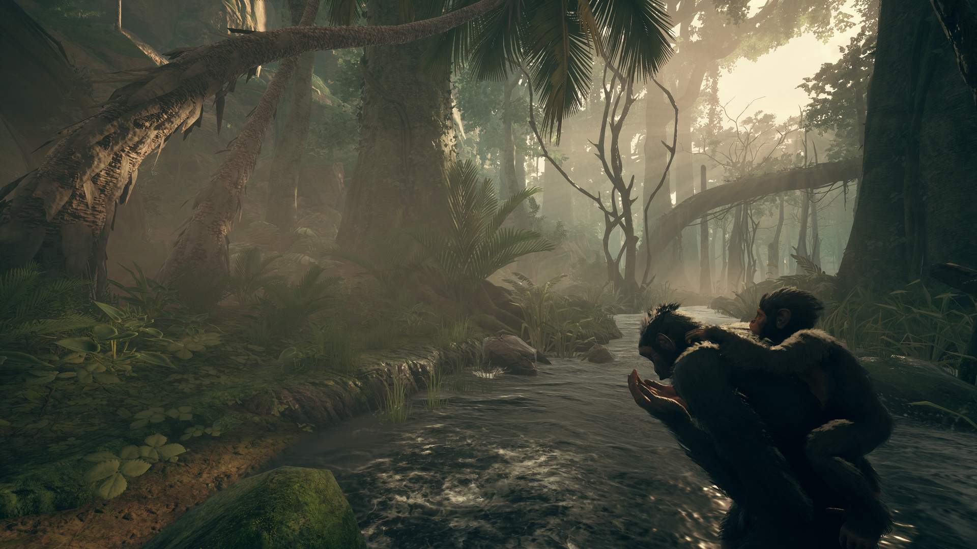 先祖：人类奥德赛/Ancestors: The Humankind Odyssey_3