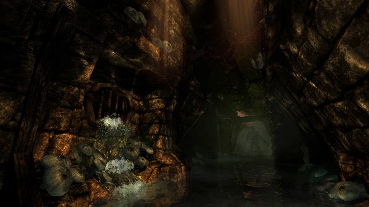 失忆症：黑暗后裔/Amnesia: The Dark Descent_4