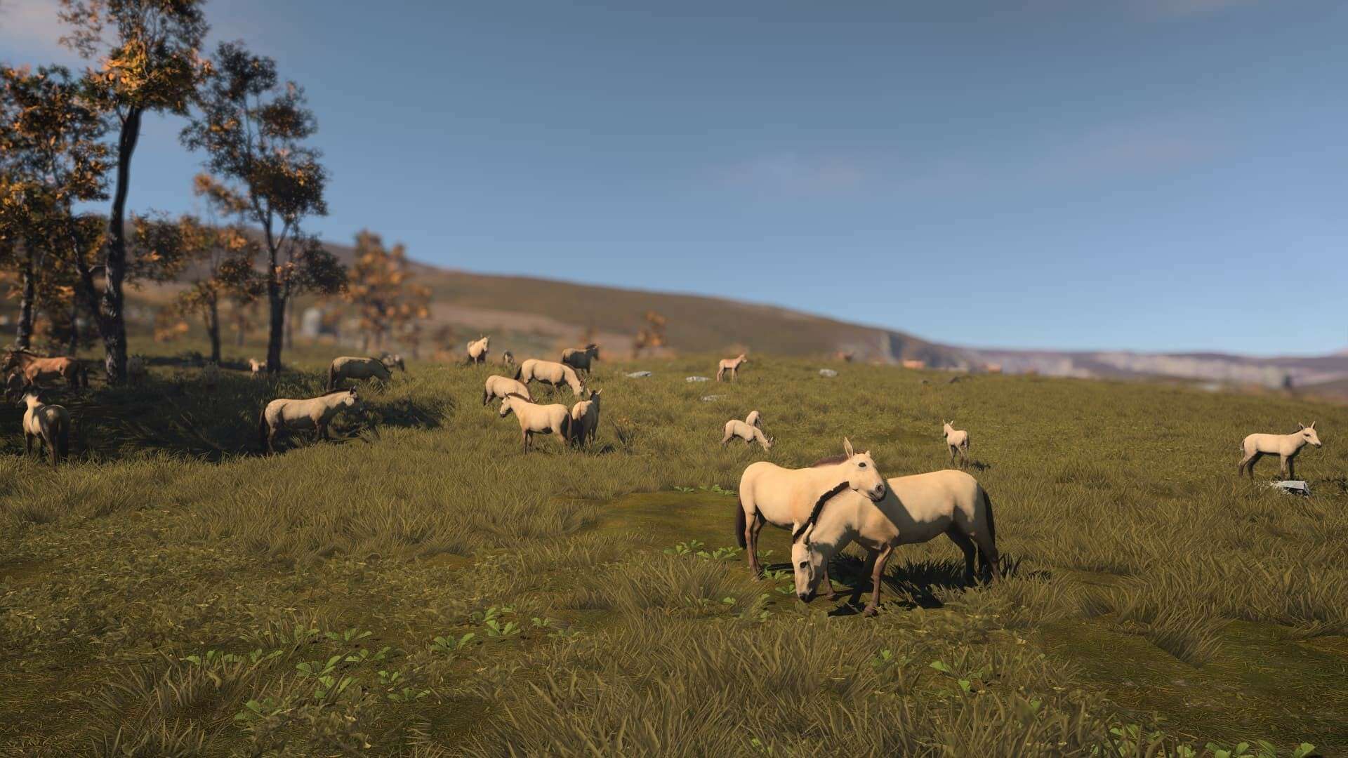 古城/古代城市/Ancient Cities_2