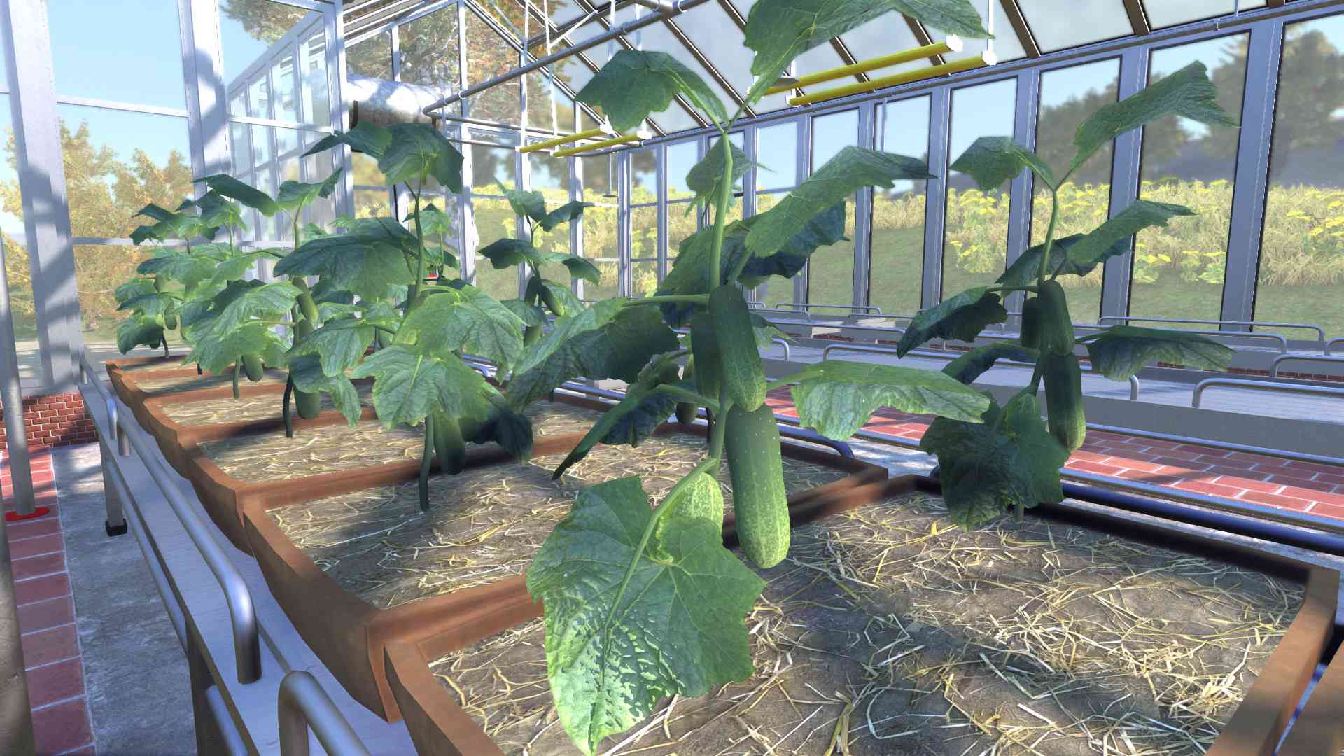 农夫王朝/Farmer's Dynasty_6