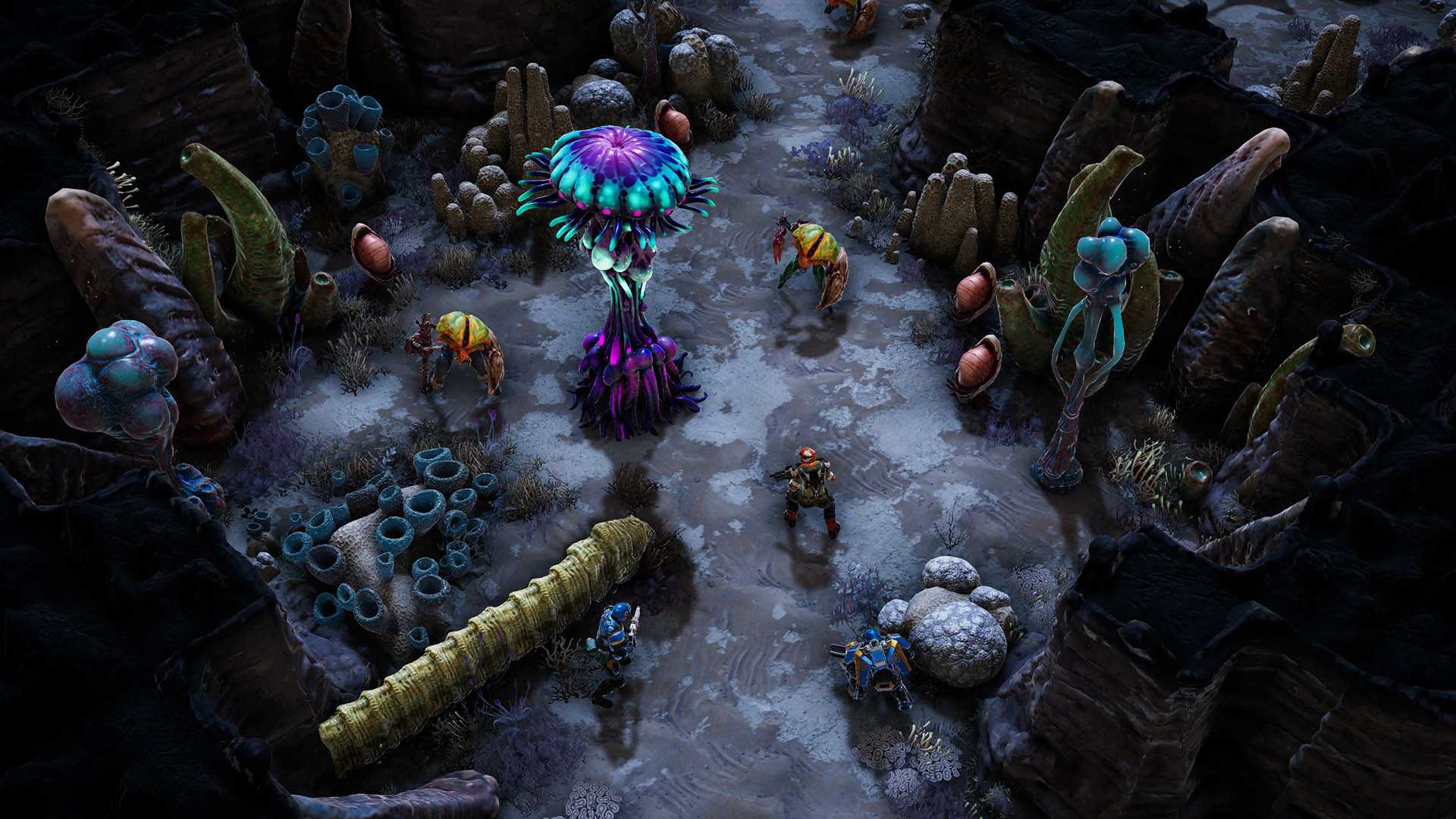 凤凰点：周年版/Phoenix Point: Year One Edition_7