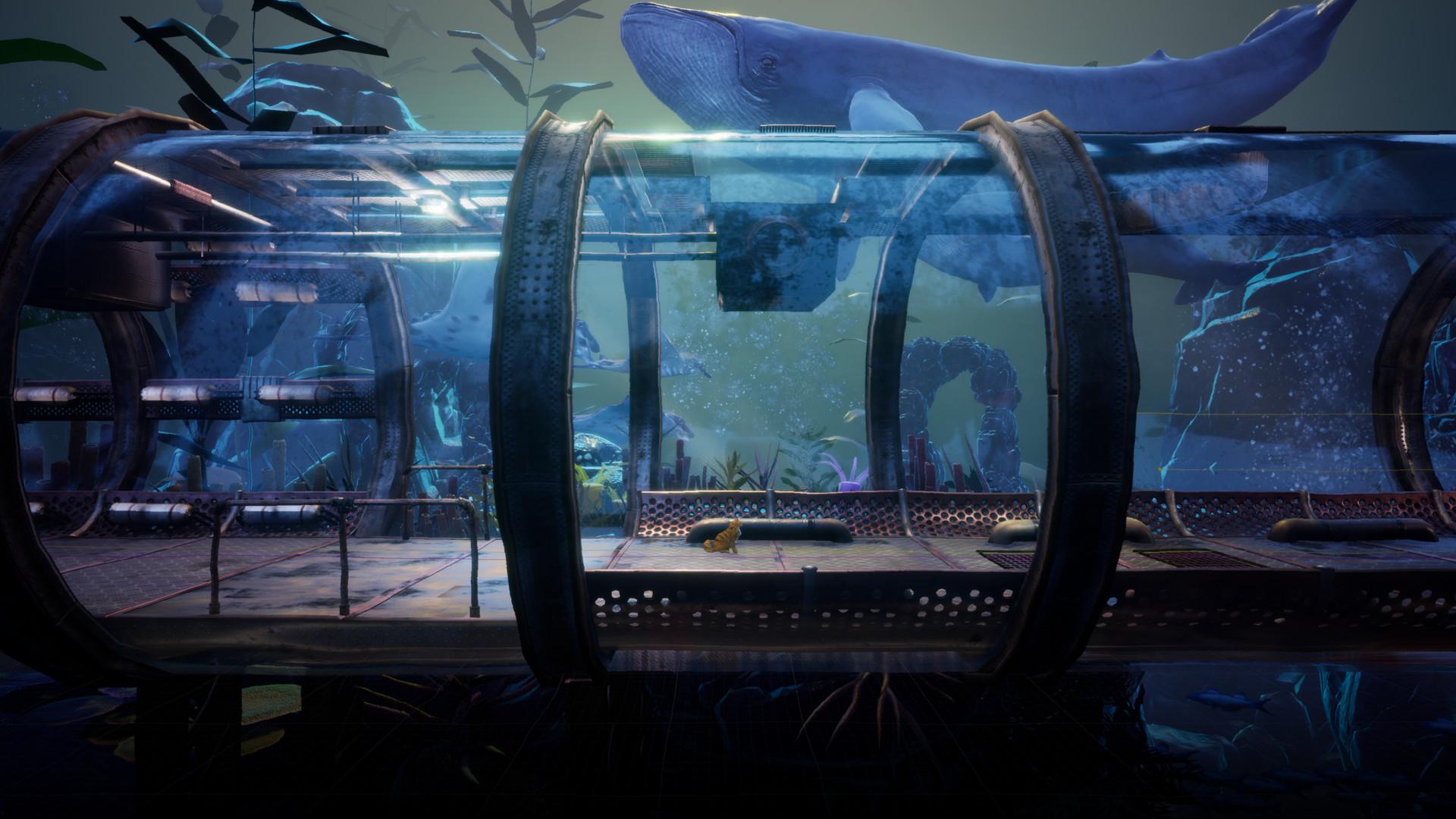 别样视界/Another Sight_2