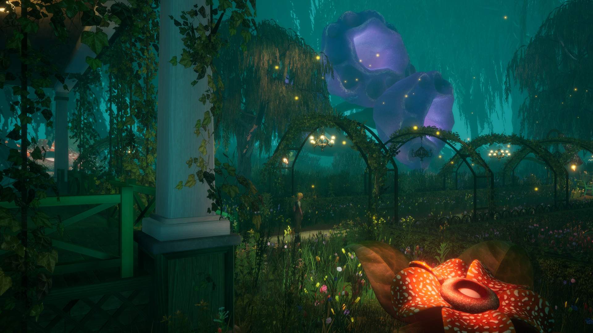 别样视界/Another Sight_5