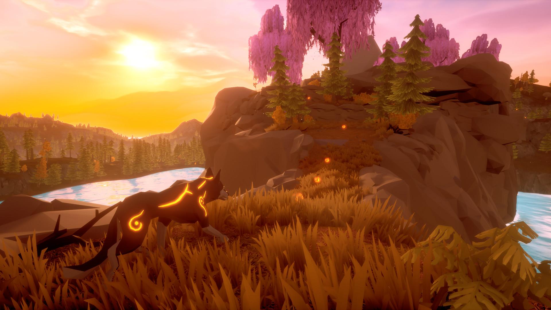 爪与魂/Paws and Soul_2