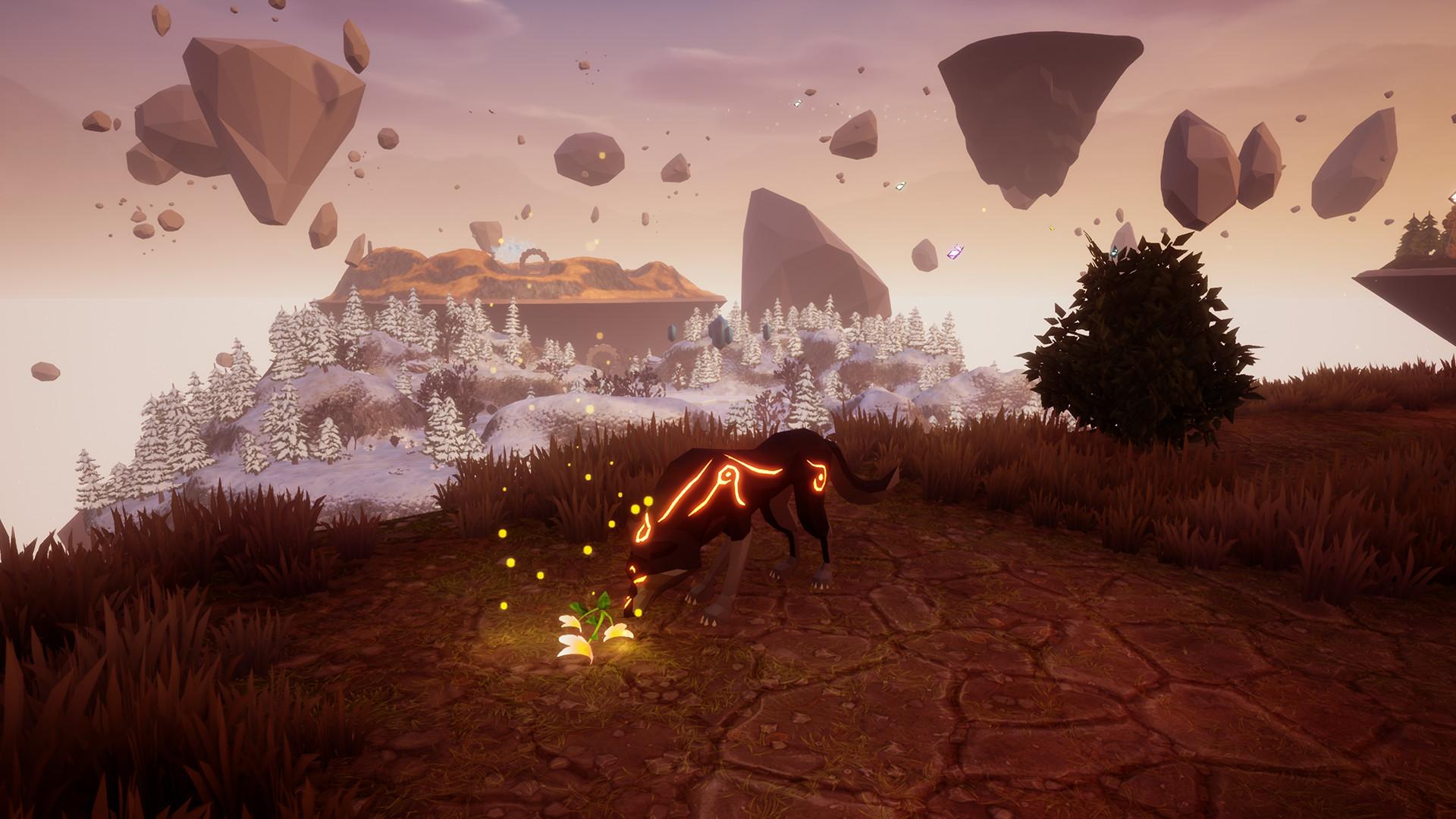 爪与魂/Paws and Soul_4