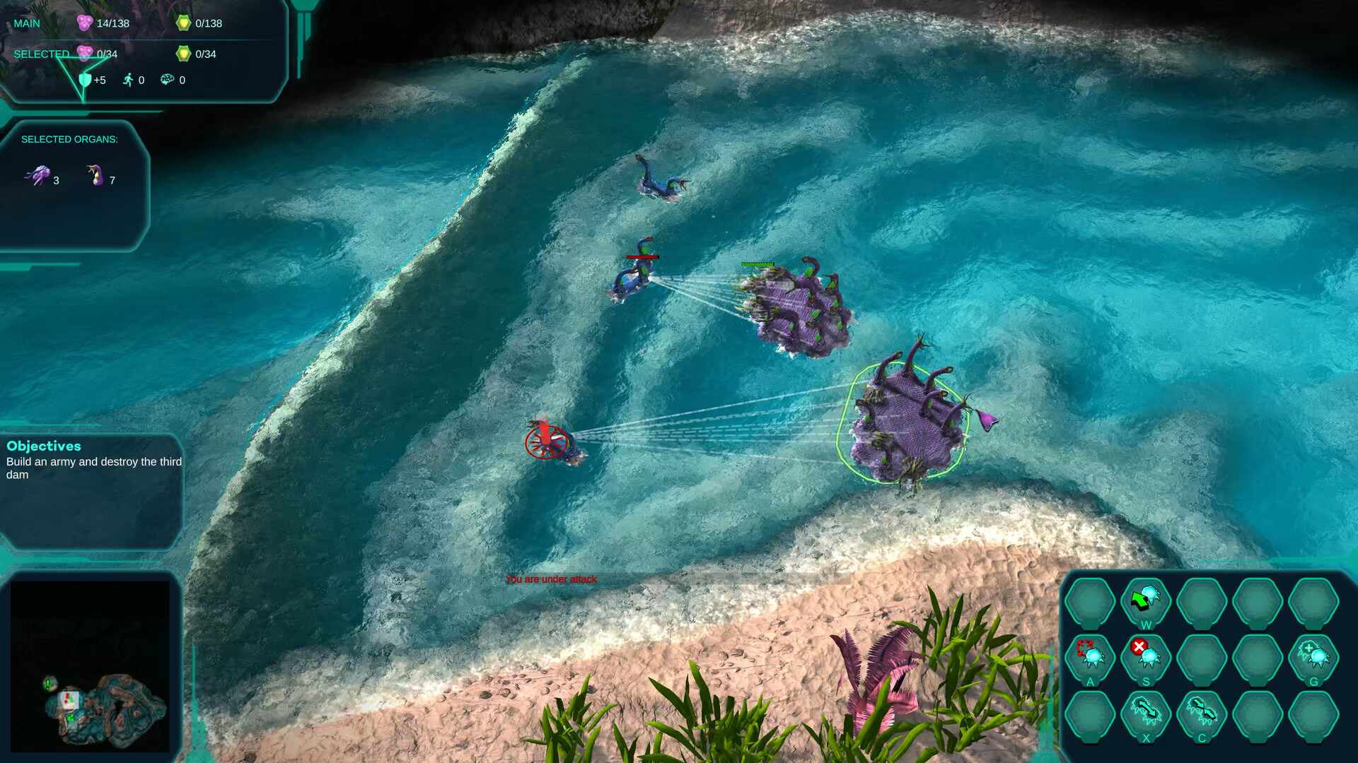 莫度战争/Moduwar_1