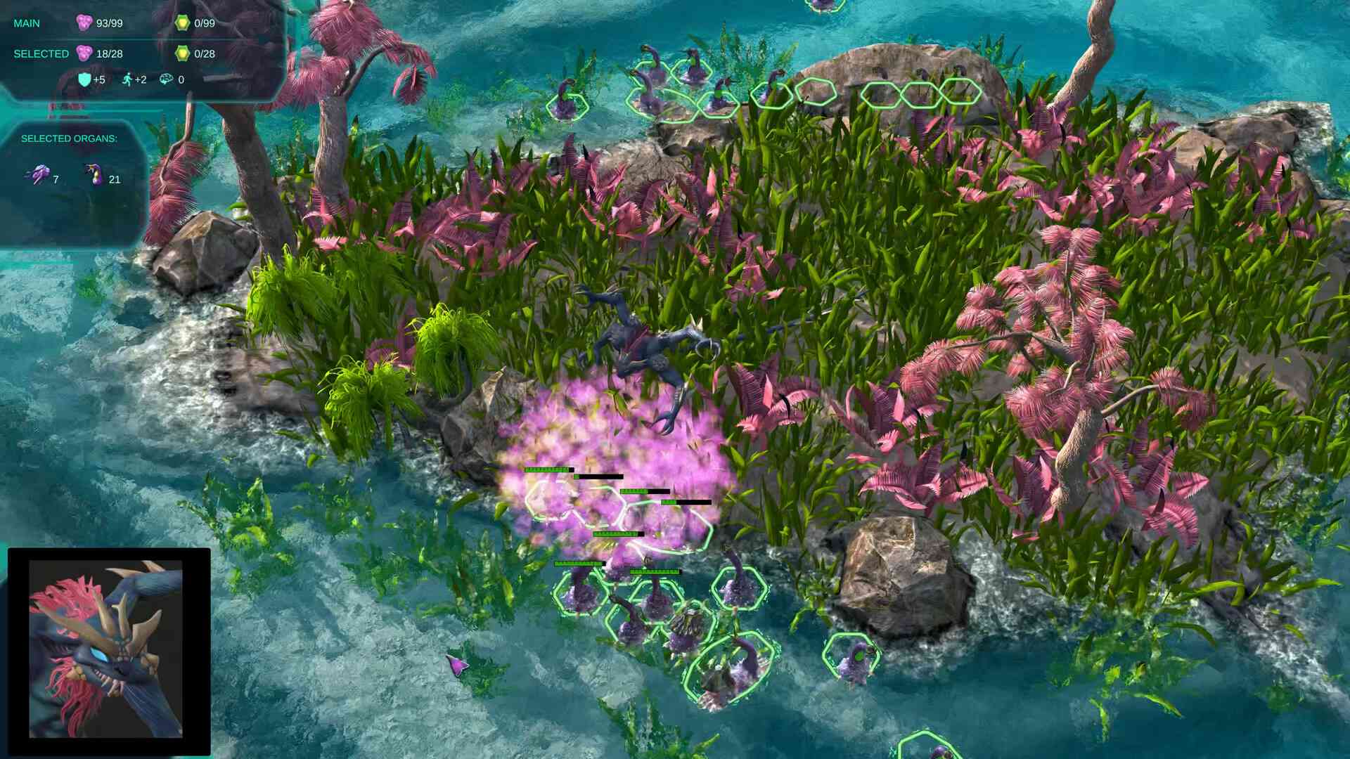 莫度战争/Moduwar_4