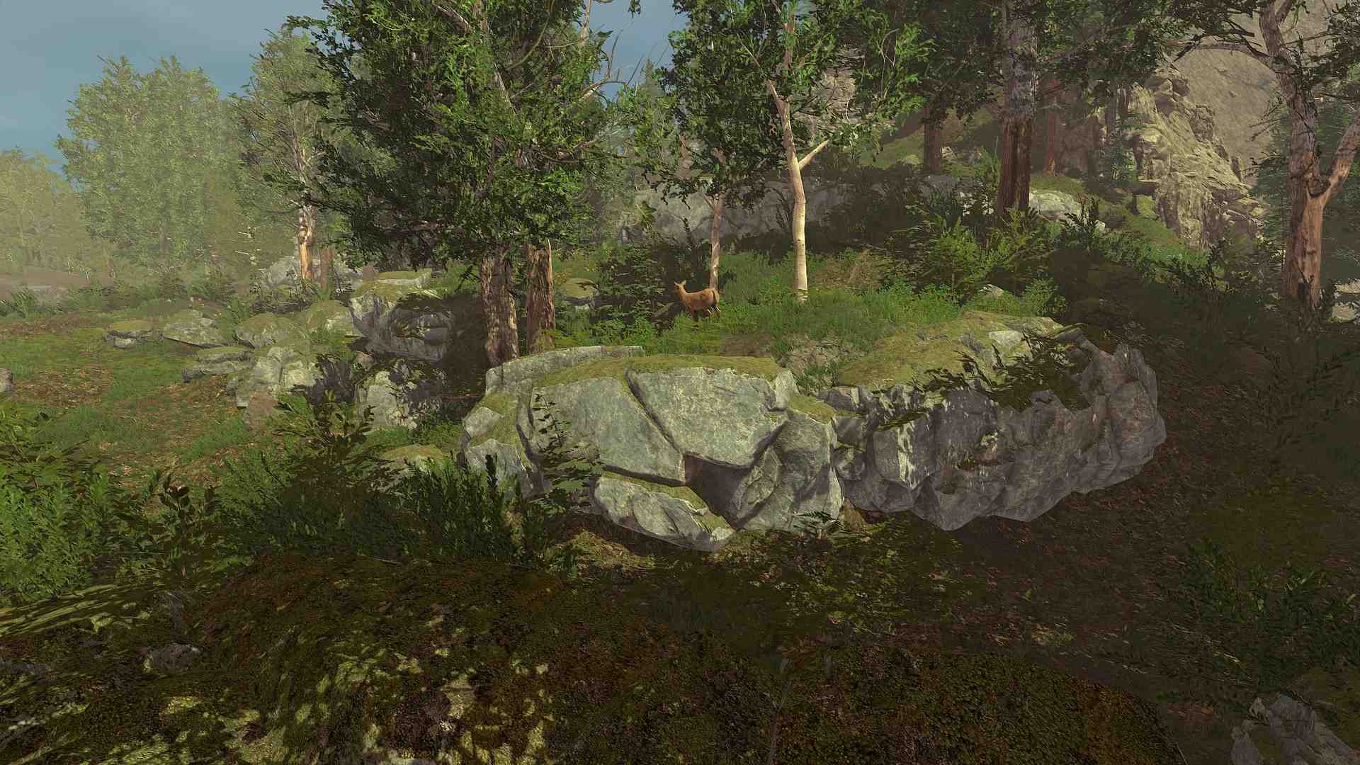 荒野的试炼/Trials of Wilderness_0