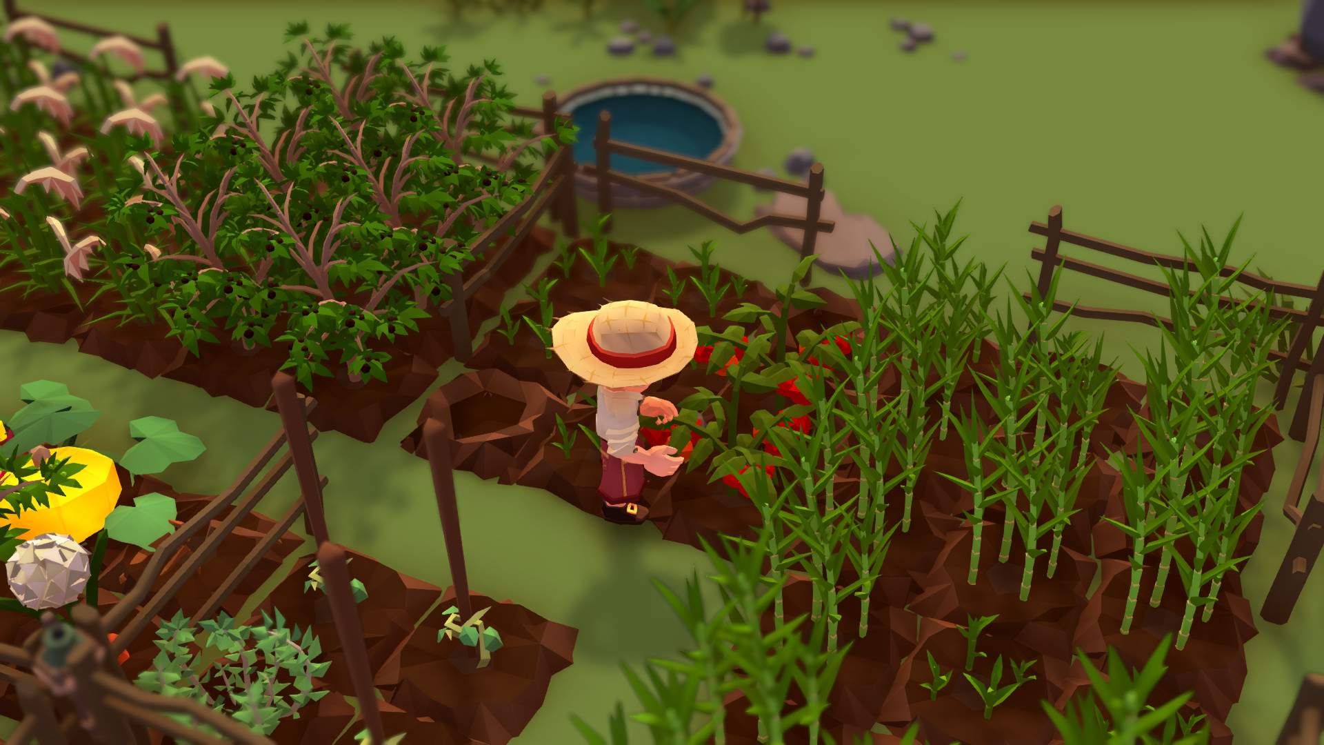 落难航船：诅咒之岛的探险者/Stranded Sails - Explorers of the Cursed Islands_4