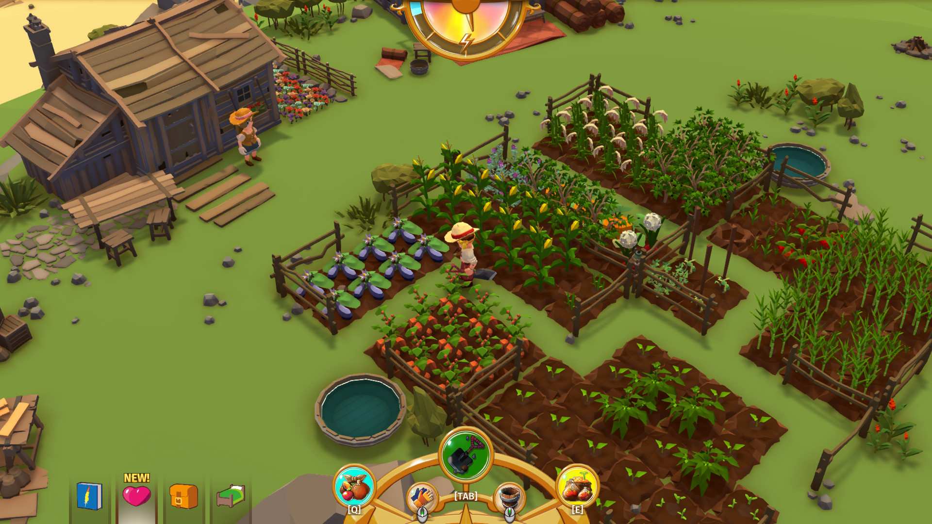 落难航船：诅咒之岛的探险者/Stranded Sails - Explorers of the Cursed Islands_0