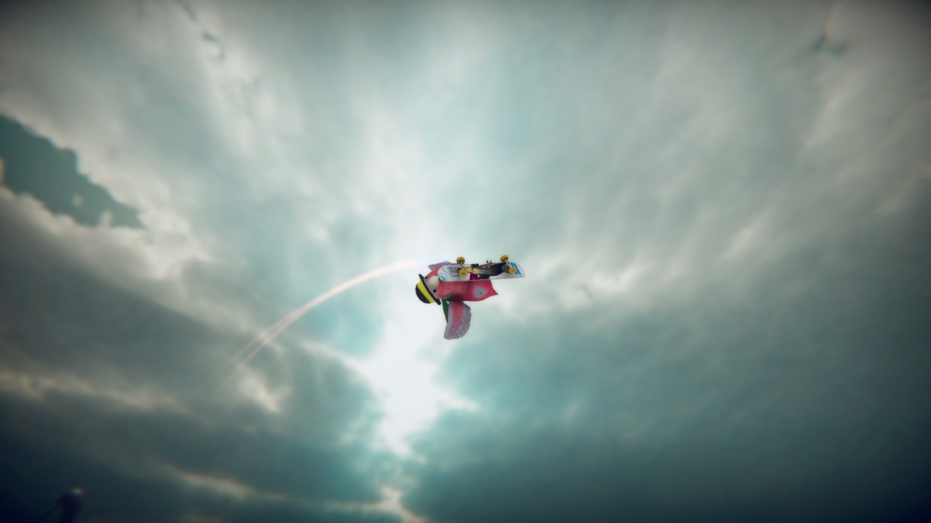 滑板鸟/SkateBIRD_3