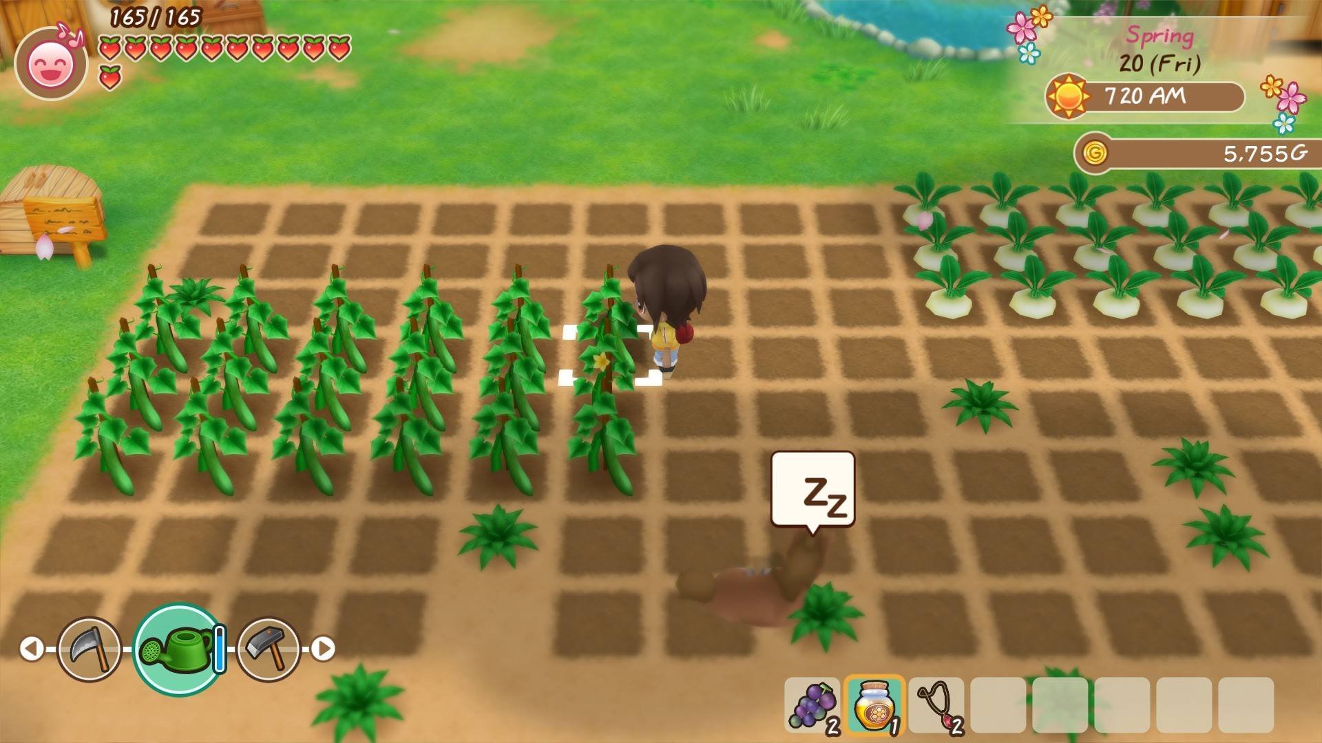 牧场物语：重聚矿石镇/STORY OF SEASONS: Friends of Mineral Town_2