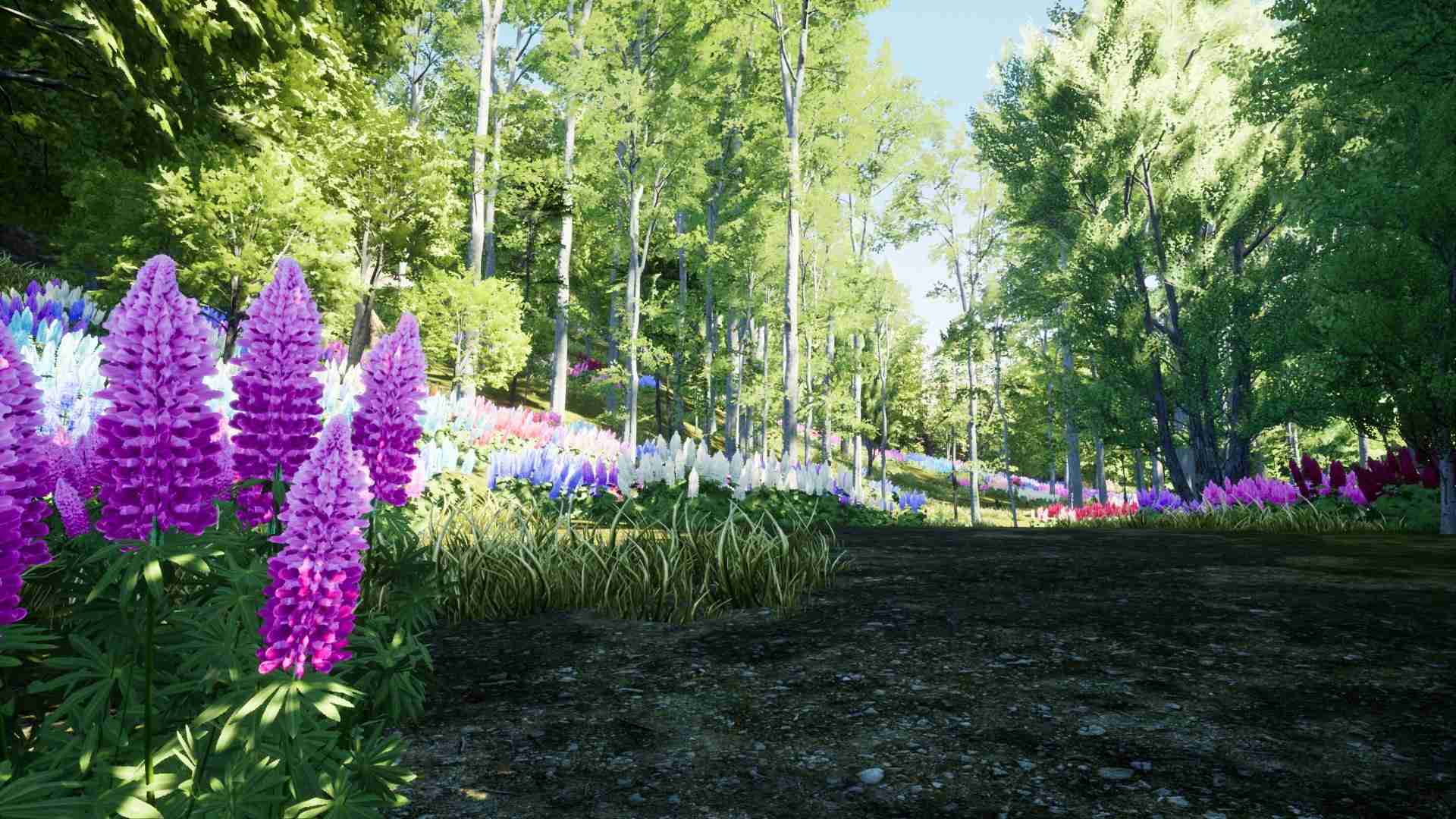 自然猎人/Nature Hunter_0